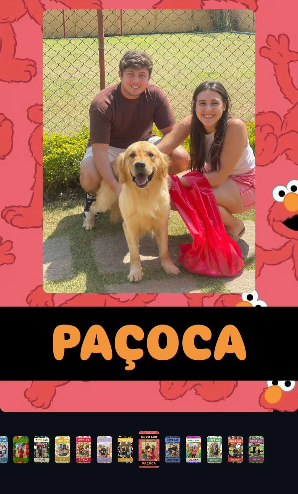 Testimonio de adopción